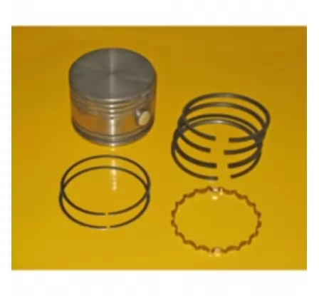 Caterpillar Piston &ring (1440503) 1