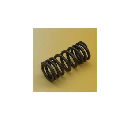 Caterpillar Spring-valve (2479908) 2