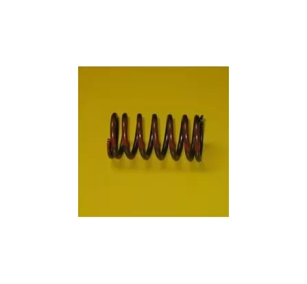 Caterpillar Spring-valve (interno) (1944902) Postventa 2